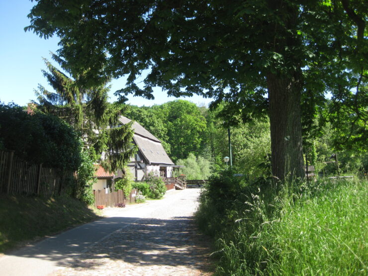 Weg zur Klostermühle Boitzenburg, Foto: Anet Hoppe