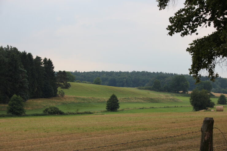 Märkischer Landweg bei Ringenwalde, Foto: Alena Lampe